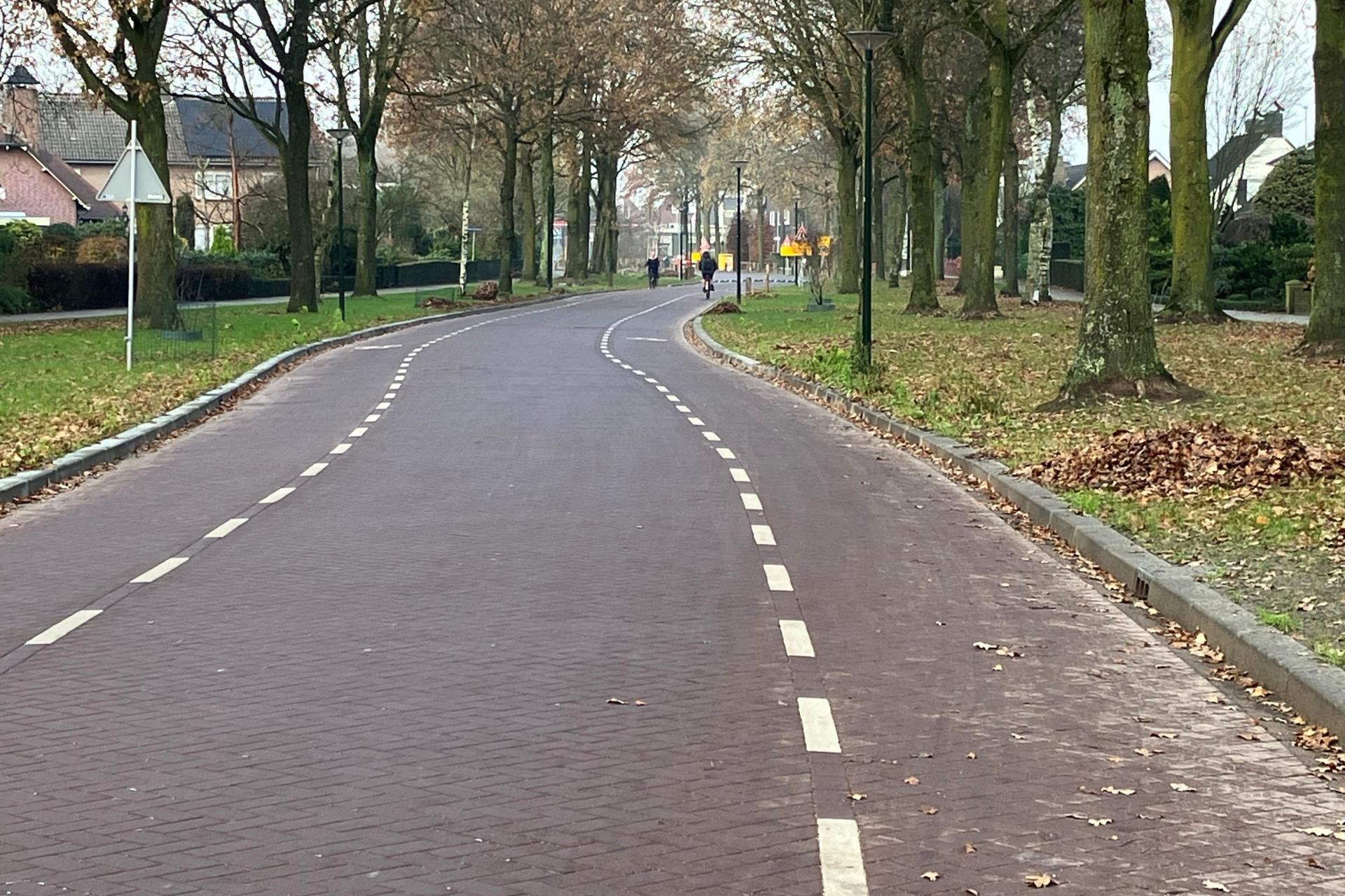Vergroot afbeelding: afbeelding van de weg met in de verte een aantal fietsers. Langs de weg staan bomen.
