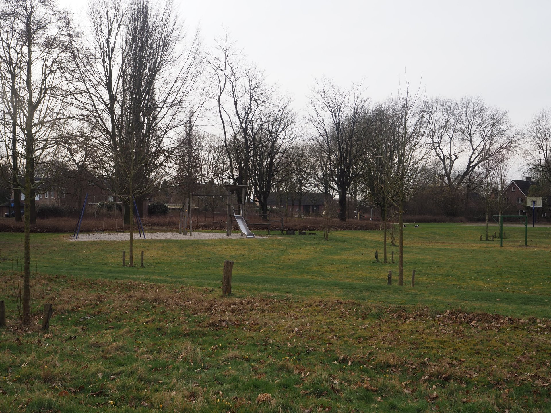 Vergroot afbeelding: een grasveld met daarin een zandbak met schommel, klimrek en glijbaan.