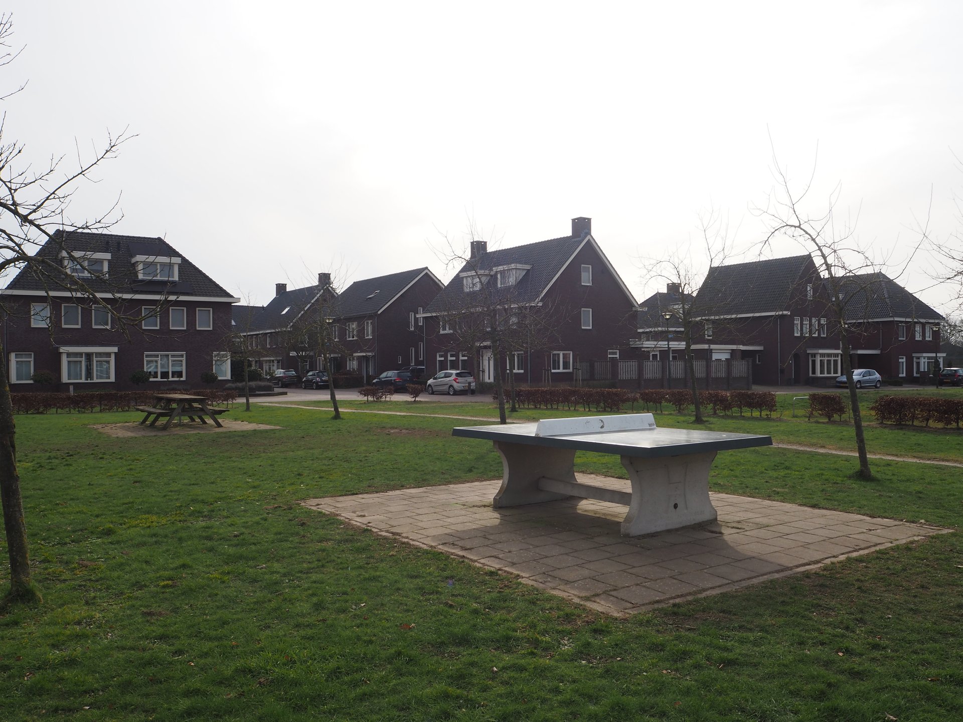 Vergroot afbeelding: een picknickbank en tafeltennistafel met op de achtergrond woningen